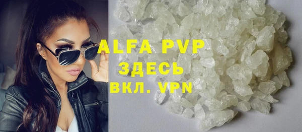 гашик Новозыбков