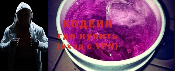 гашик Новозыбков
