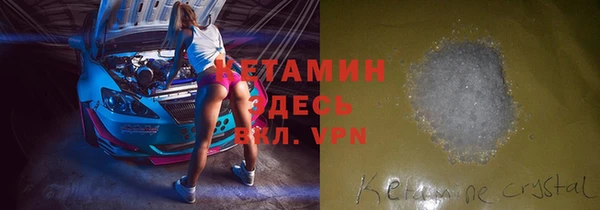 гашик Новозыбков