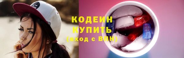 гашик Новозыбков