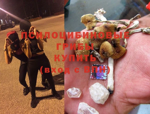 гашик Новозыбков