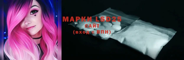 гашик Новозыбков