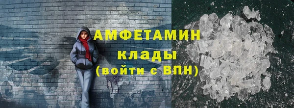 гашик Новозыбков