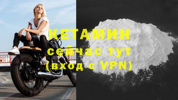 гашик Новозыбков