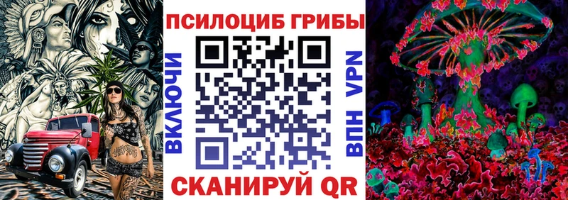 как найти   Рославль  Псилоцибиновые грибы GOLDEN TEACHER 
